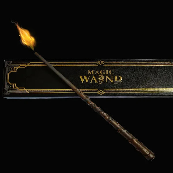 Harry Potter's Wand Hermione